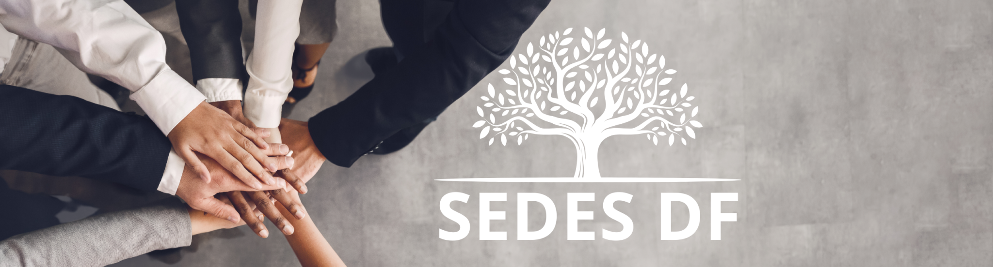 SEDES- DF Técnico Administrativo